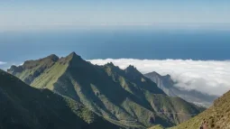 Anagos kaimo parkas, Tenerife: Lauriniai miškai, apžvalgos aikštelės ir geriausias vairavimo maršrutas (2026)