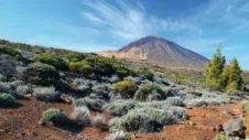 Tyrinėjant Teide kalno Tenerifėje didingą grožį ir svarbą