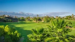 Golfo rojus: Geriausi Tenerifės golfo klubai: Tee Time Bliss Tenerifės geriausiuose golfo klubuose