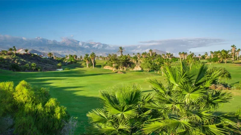 Golfo rojus: Geriausi Tenerifės golfo klubai: Tee Time Bliss Tenerifės geriausiuose golfo klubuose