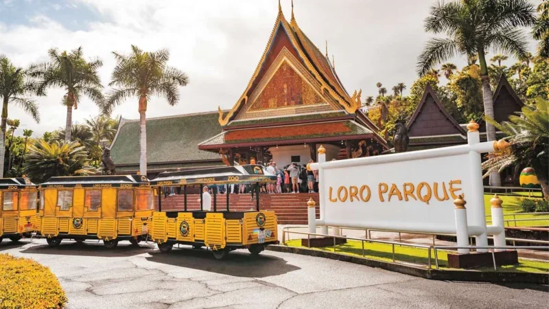 Loro Parque Tenerifė – Atraskite salos gamtos stebuklo širdį