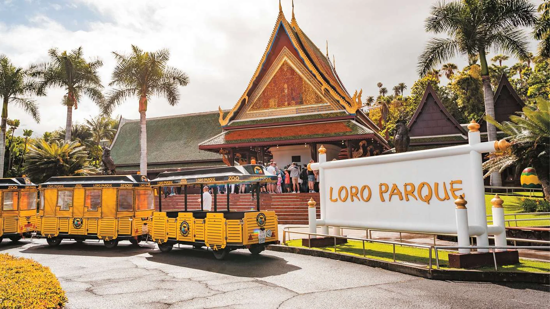 Loro Parque Tenerifė – Atraskite salos gamtos stebuklo širdį