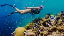 Plaukimas pasroviui: Gilus pasinėrimas į Tenerifės nardymo vietas