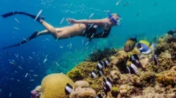 Plaukimas pasroviui: Gilus pasinėrimas į Tenerifės nardymo vietas