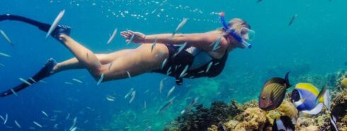 Plaukimas pasroviui: Gilus pasinėrimas į Tenerifės nardymo vietas