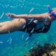 Plaukimas pasroviui: Gilus pasinėrimas į Tenerifės nardymo vietas