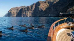 Banginių ir delfinų stebėjimas Tenerifėje: Geriausios kelionės laivu ir kaip ten nuvažiuoti automobiliu (2026)